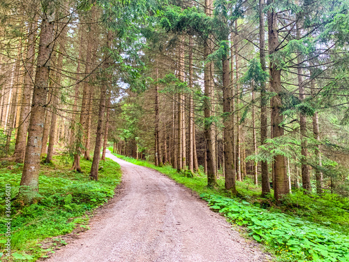 Walking in the German Allgäu region