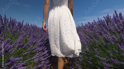 Slow motion - Young woman in a white dress walking through lavender field. Beautiful girl in Provence, France