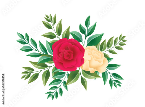 Flower on white background. Flowers for decoration or other frames