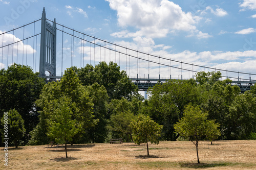 Photography Triborough Bridge with Dry Grass and Green Trees during Summer seen from Randall