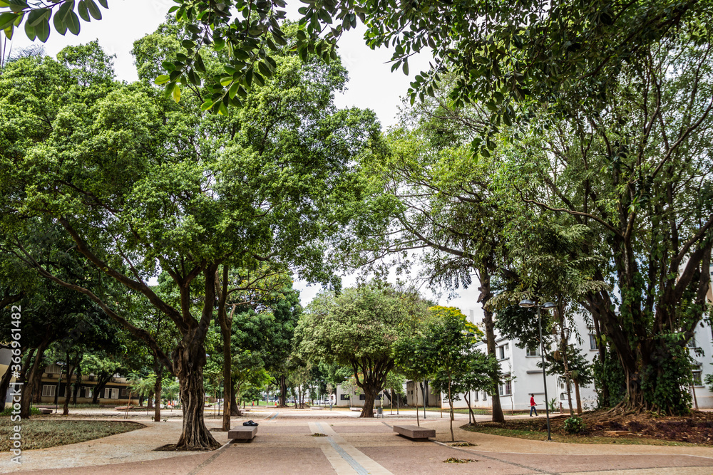 Árvores e detalhes da praça cívica em Goiânia.