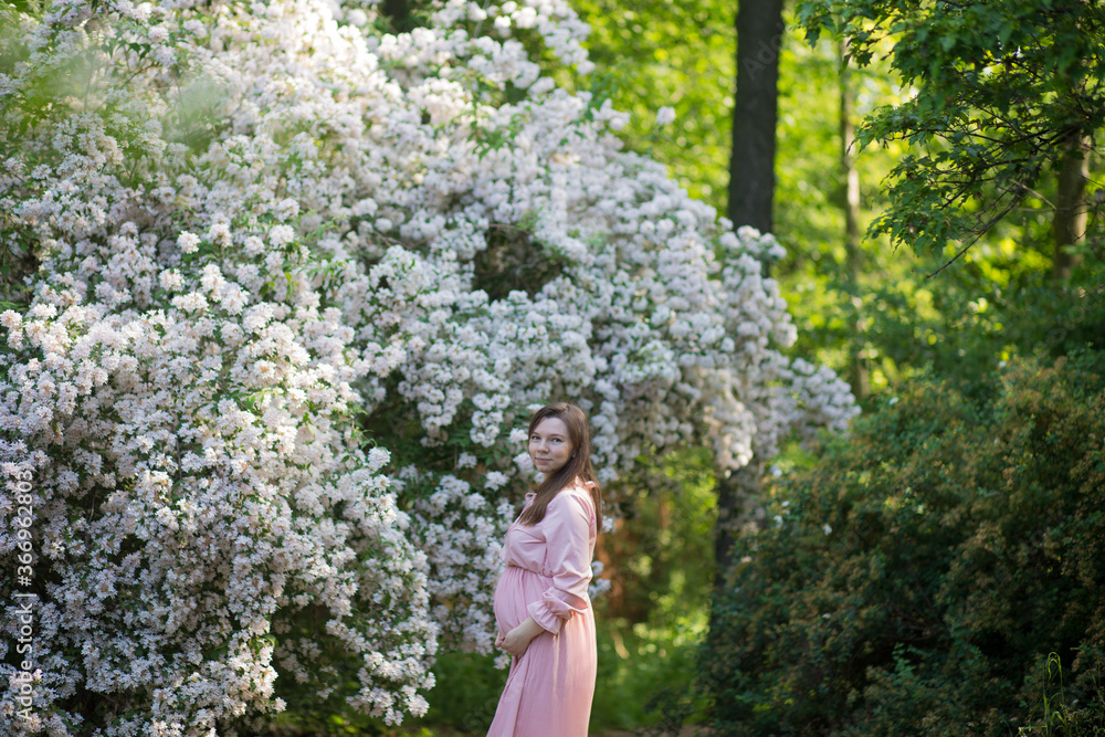 Pregnant woman in the apple orchard is holding tummy and apple blossoming branch Pregnant woman in the apple orchard is holding tummy and apple blossoming branch