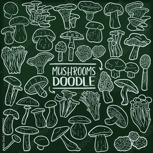 Mushrooms Nature Chalkboard Doodle Icons. Sketch Hand Made Design Vector Art.