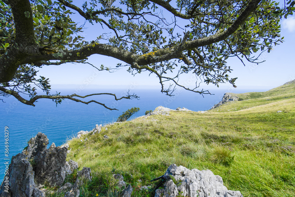 Meadow next to the cliff of Monte Candina Meadow next to the cliff of Monte Candina