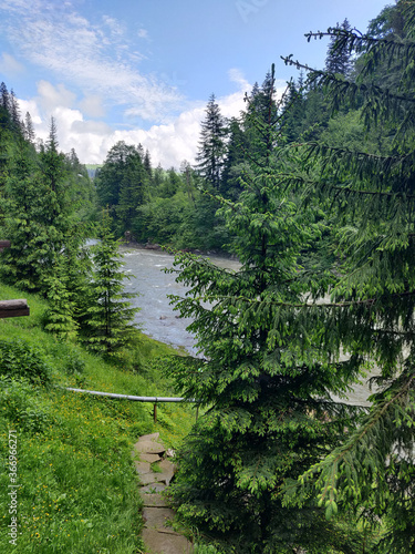 Wonderful view on the mountain river Carpathians. Carpathian Mountains