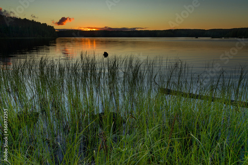 Fototapeta Naklejka Na Ścianę i Meble -  Sunset on a forest lake on a summer evening. The sun sets behind a distant forest
