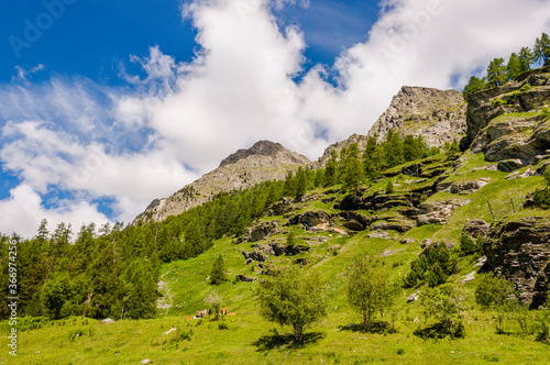 Bernina, Val Bernina, Berninapass, Passhöhe, Wanderweg, Ospizio Bernina, Zugfahrt, Zugreise, Wasserscheide, Lago Bianco, Stausee, Alpen, Graubünden, Sommer, Schweiz photo