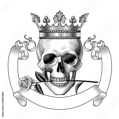 Engraved vintage drawing of a Human skull full face in the crown and with a rose in the teeth and a retro ribbon banner