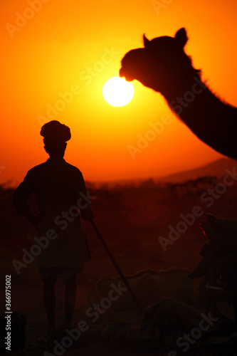 a camel and a man at sunset at Pushkar Camel Fair photo