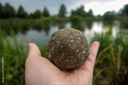 Groundbait balls ready for baiting fish. Fishing groundbait. 
Kule zanętowe gotowe do nęcenia ryb. Zanęta wędkarska. photo