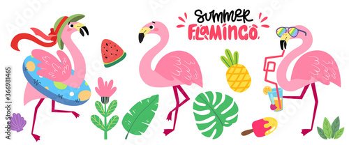 Set of cartoon pink flamingos. Collection of tropical birds. Summer vector illustration with funny animals for children s books  print  fabric  poster  postcard.