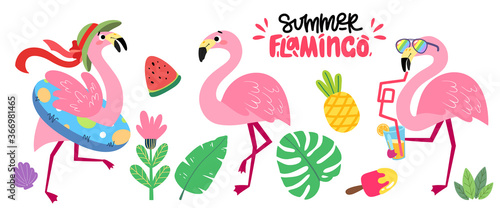 Set of cartoon pink flamingos. Collection of tropical birds. Summer vector illustration with funny animals for children's books, print, fabric, poster, postcard.