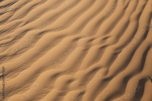 sand texture © melchakofsh