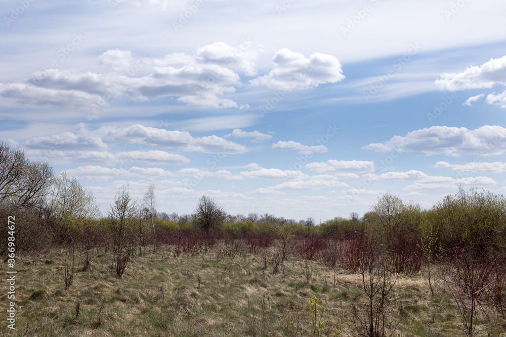 Rural landscape in spring Rural landscape in spring
