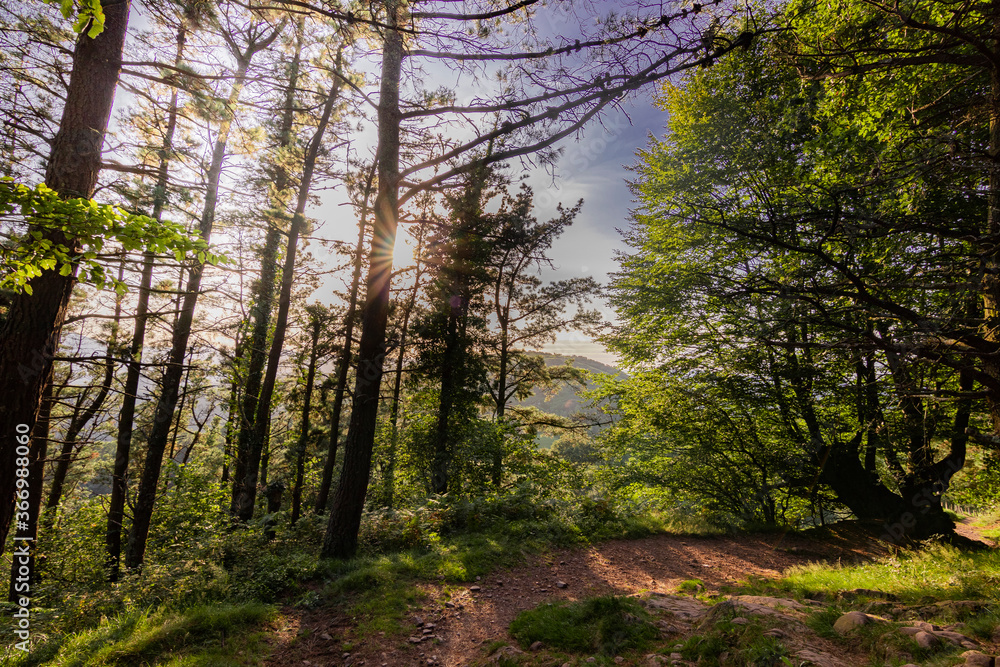 Obraz premium Trecking por montes de Andoain del Pais Vasco al atardecer