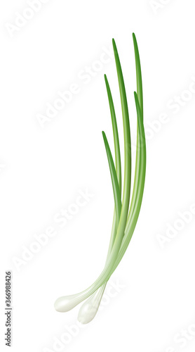 Spring onion on white background, green vegetables, onion flavor.