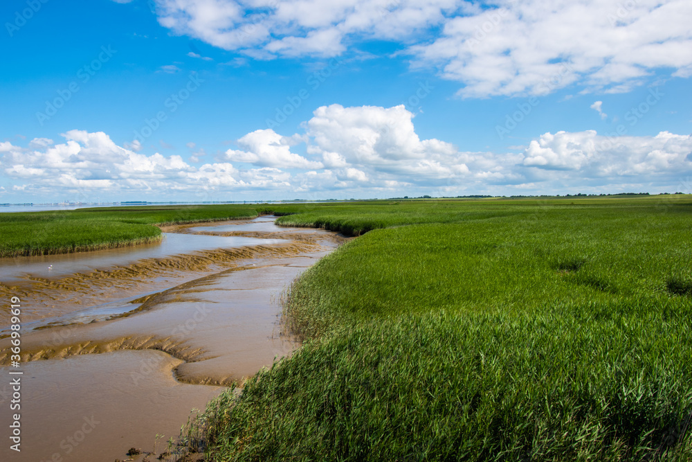 View of the Lower Saxony Wadden Sea at low tide in summer with blue sky and beautiful clouds