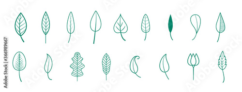 line style green leaves minimal style collection
