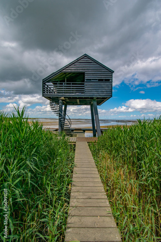 Wooden path surrounded by reed grass on the North Sea in summer with a blue sky and a view of the Kiekkaaste © Ingo