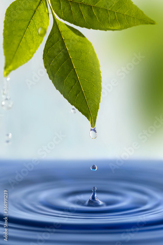 Image with leaf and water.