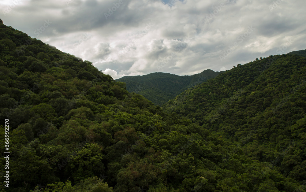 Wilderness. View of the  green tropical rainforest from the top of the hill. Beautiful valley and trees foliage under a cloudy sky. 