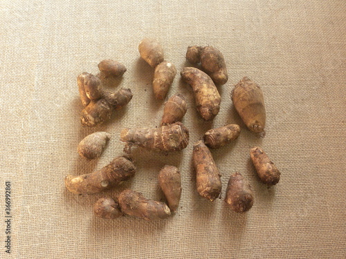 Brown color raw whole Taro roots or Colocasia esculenta photo