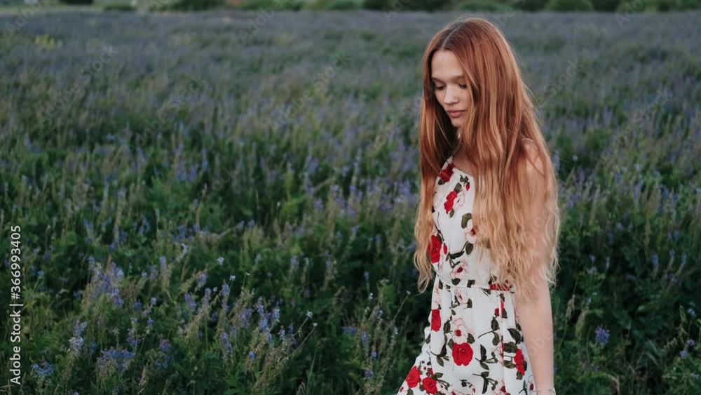 A young redhead girl walking through flowers on flower field. Beautiful carefree girl enjoying nature and sunlight in wheat field at incredible colorful sunset. Freedom concept. A young redhead girl walking through flowers on flower field. Beautiful carefree girl enjoying nature and sunlight in wheat field at incredible colorful sunset. Freedom concept.