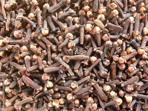 Brown color dried Cloves aromatic flower buds