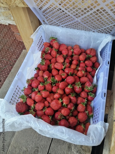 strawberries in a basket