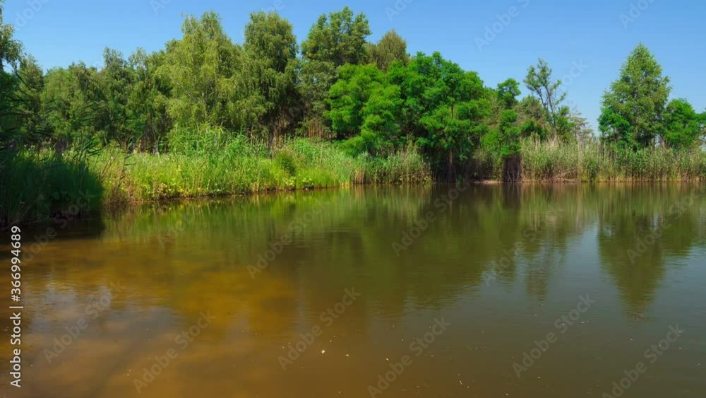 Summer time. Lake in the forest. The river bank is overgrown with bushes and trees. Summer time. Lake in the forest. The river bank is overgrown with bushes and trees.