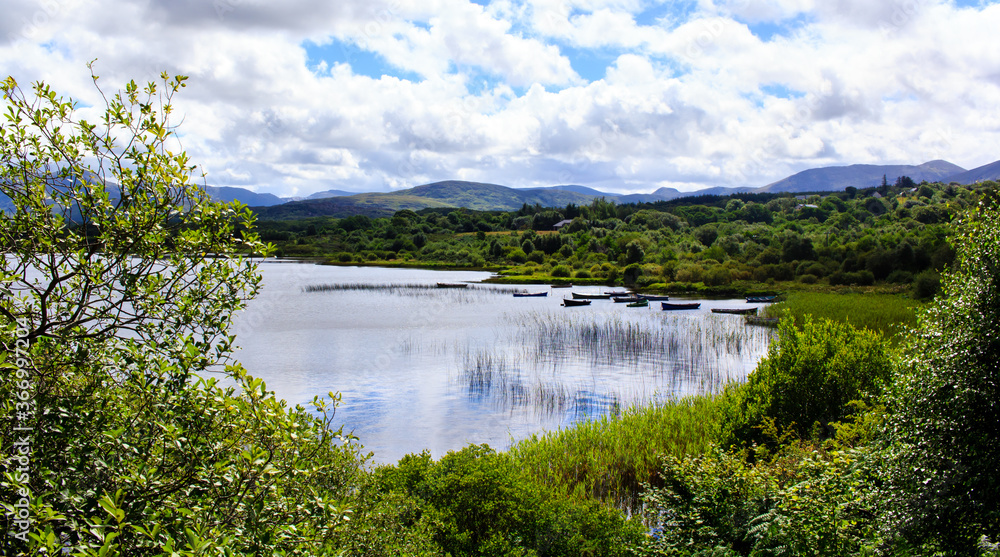 Shot of the lake with boats surrounded by luxuriant greenery in Connemora, Western Ireland. 