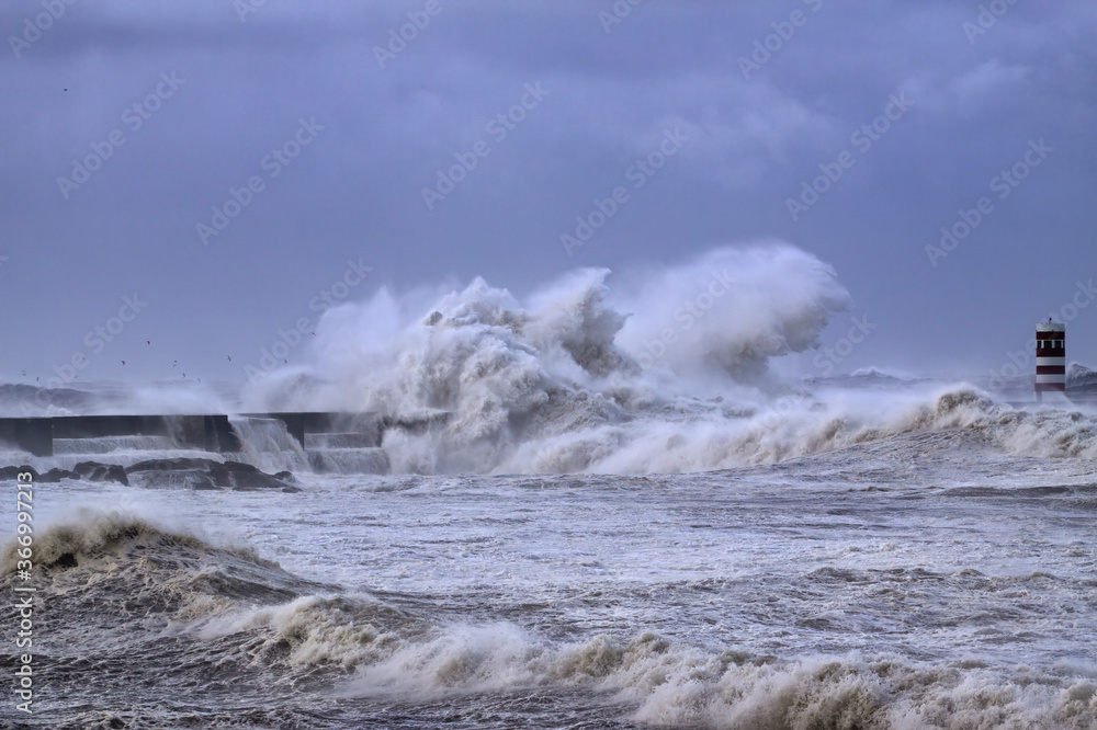 Dramatic sea storm