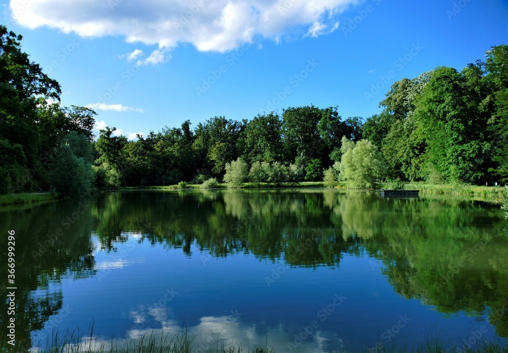 Green lake landscape with trees and water reflection