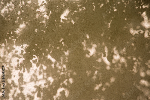 Horizontal photo of beige concrete wall with tree leaves shadows in daylight. Contrast picture for background