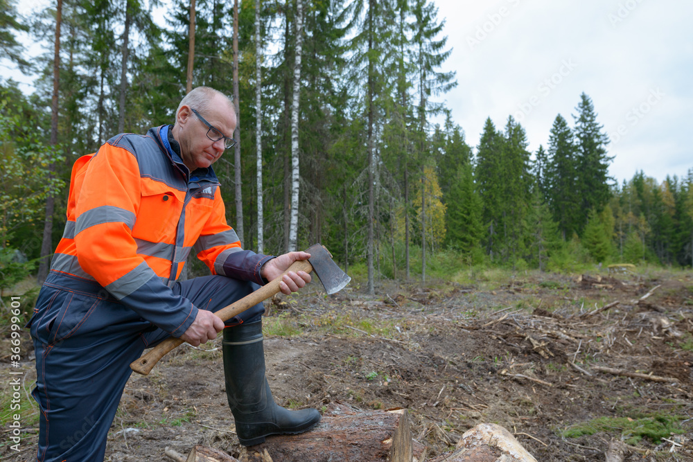 Portrait of mature handsome man looking at pile of chopped wood while holding ax in the forest Portrait of mature handsome man looking at pile of chopped wood while holding ax in the forest