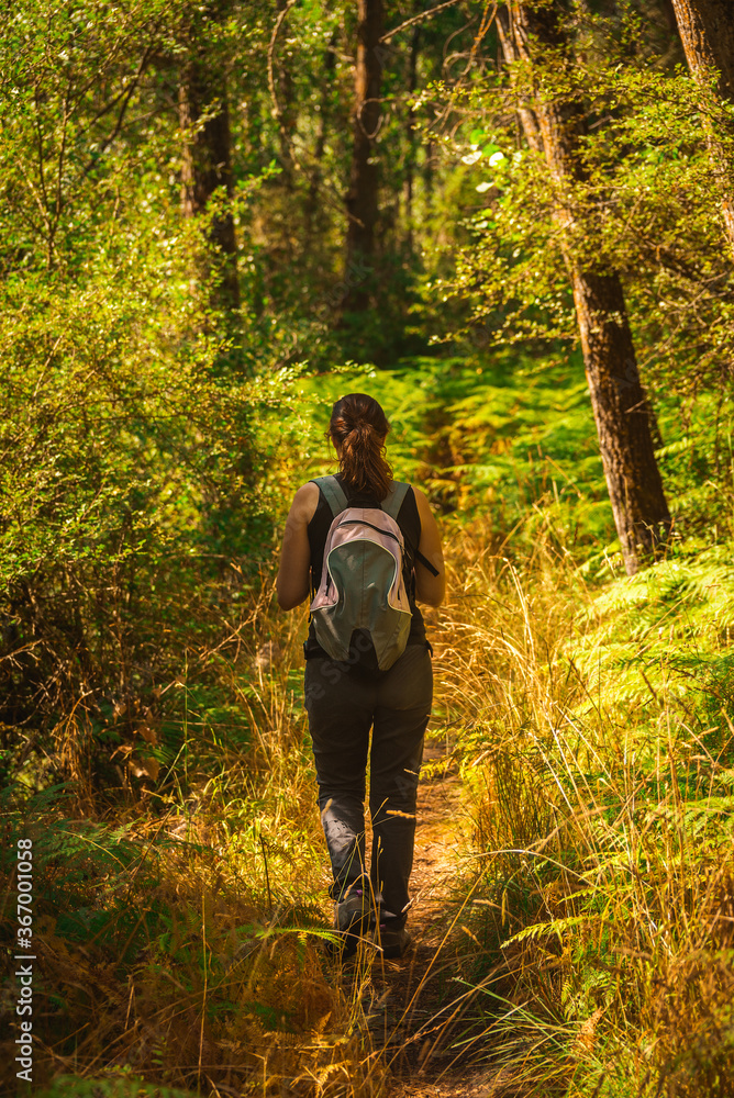 young woman hiking in a forest young woman hiking in a forest