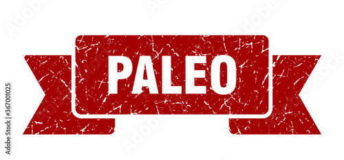 paleo grunge vintage retro band. paleo ribbon