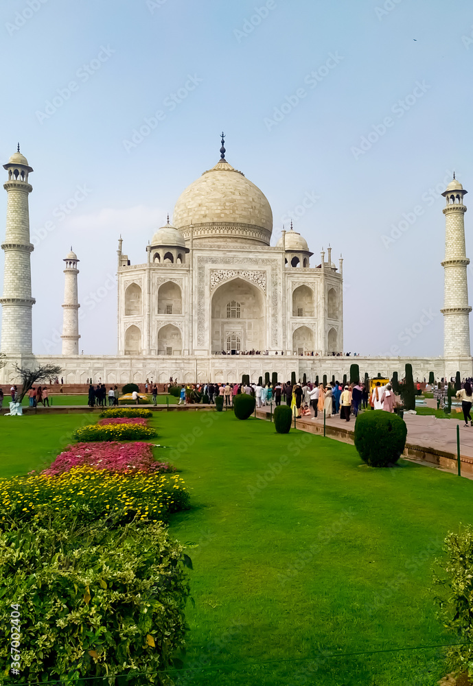 beautiful picture of green grass and flowering plant in front of Taj Mahal. Taj Mahal garden and Taj Mahal view