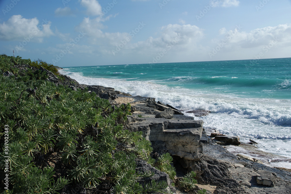 natural landscape with rocks, green bush and sea