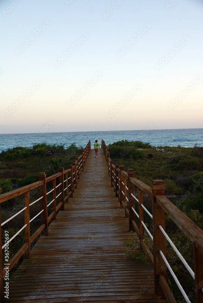 natural landscape with rocks, green bush and sea natural landscape with rocks, green bush and sea