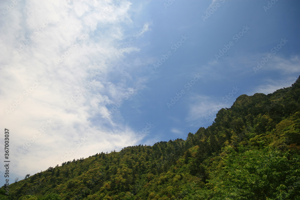 Sunny view of beautiful nature landscape of Mingchi National Forest Recreation Area