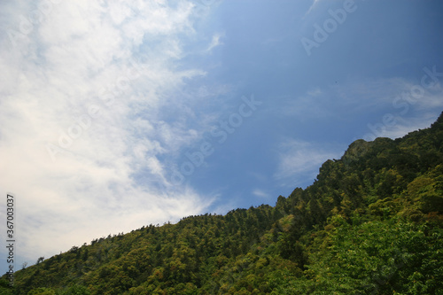 Sunny view of beautiful nature landscape of Mingchi National Forest Recreation Area © Kit Leong