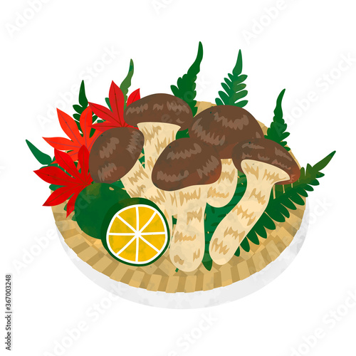 Vettoriale Stock 秋の味覚 松茸イラスト素材 Adobe Stock Vettoriale Stock 秋の味覚 松茸イラスト素材 Adobe Stock