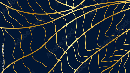 leaf line art background vector, wallpaper and print, house plant, Vector illustration.