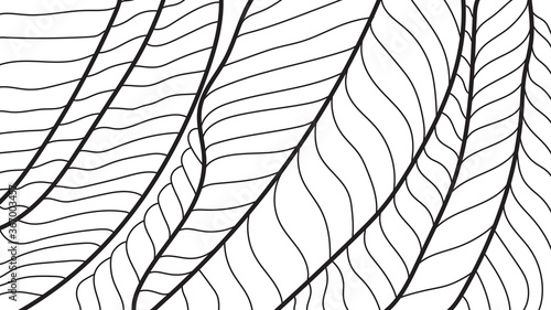 leaf line art background vector, wallpaper and print, house plant, Vector illustration.