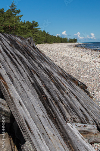 wooden fence in the sea