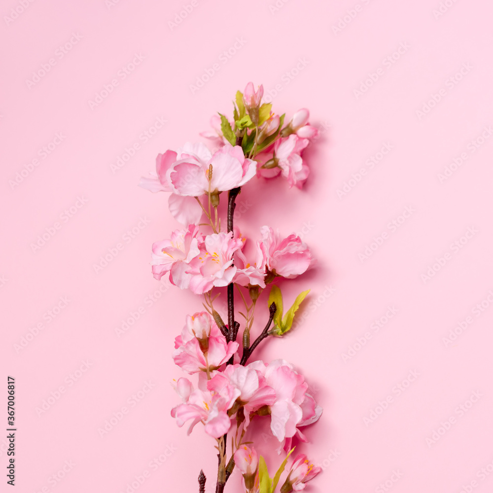 Artificial flowers blooming cherry closeup on pink background