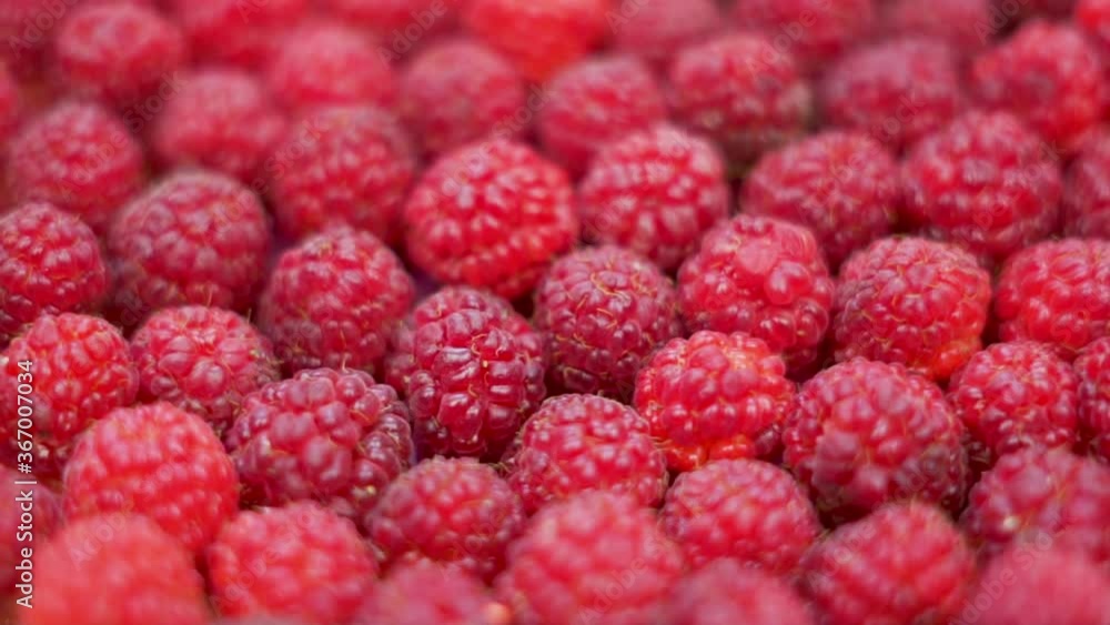 The Concept Of A Healthy Vegetarian Diet. Red Ripe Raspberries Spin Close-up. Raspberries Are Isolated. The Concept Of A Healthy Vegetarian Diet. Red Ripe Raspberries Spin Close-up. Raspberries Are Isolated.