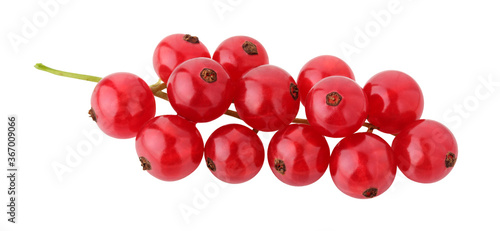 red currant isolated on white background with clipping path.