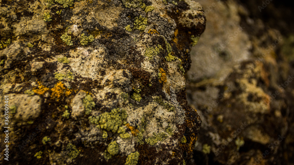 old stone wall old stone wall
